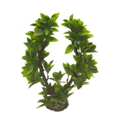 ΔΙΑΚΟΣΜΗΤΙΚΟ ΦΥΤΟ ΕΝΥΔΡΕΙΟΥ 22CM